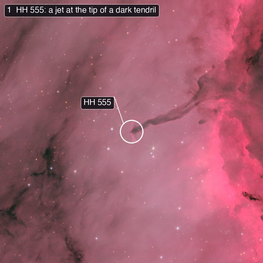 A dark tendril whose tip carries a small bright arc, marked HH 555