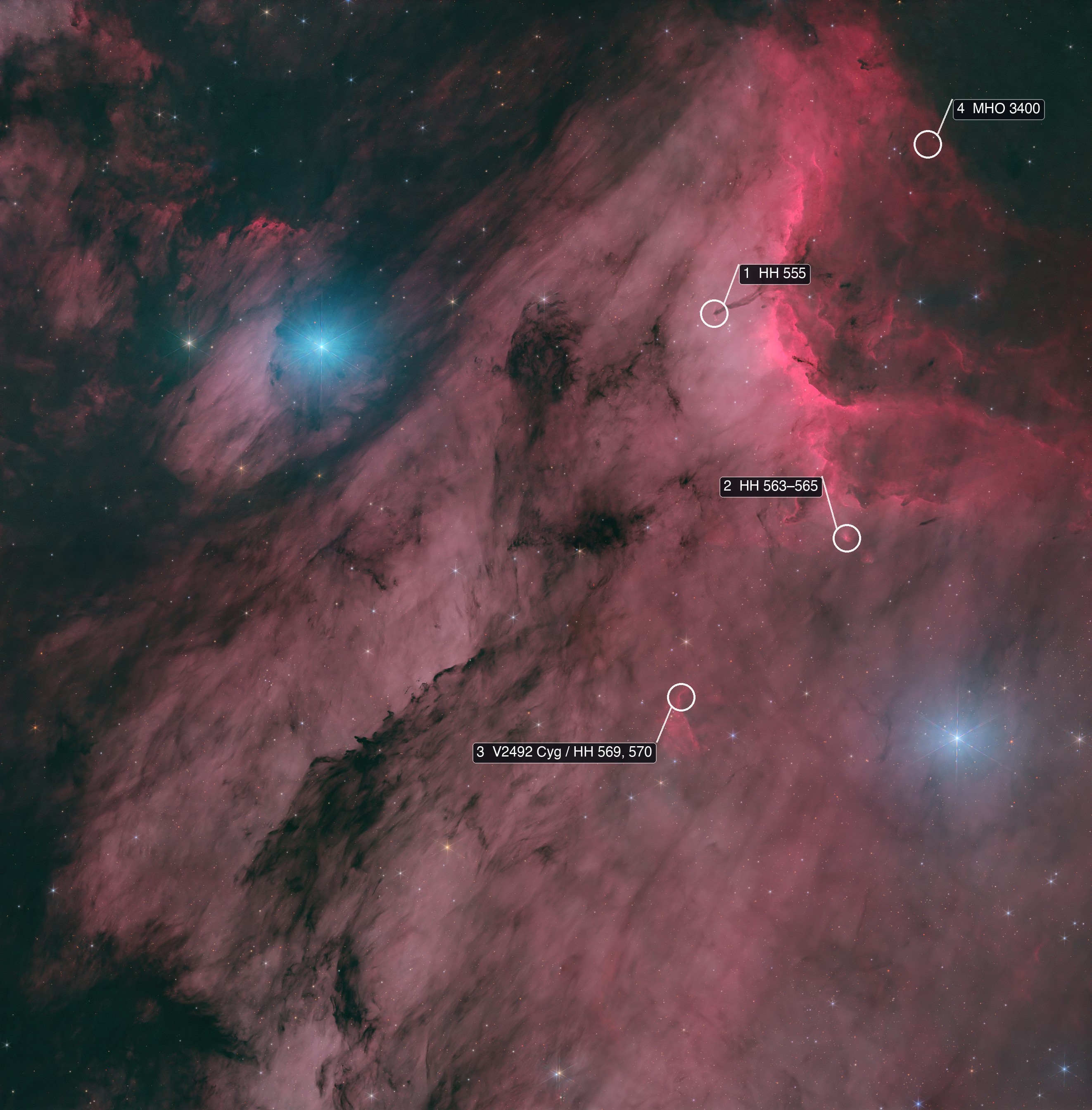 The finished image with four numbered markers: HH 555, HH 563 to 565, V2492 Cyg, and MHO 3400