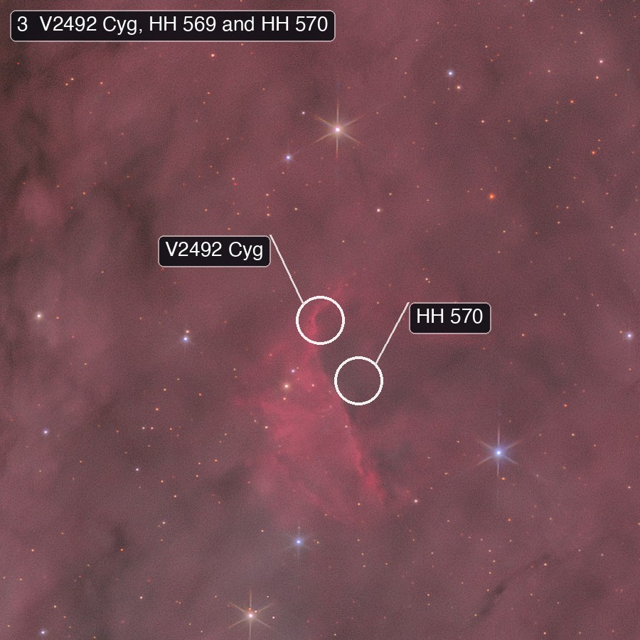 A small red wedge-shaped nebula with the positions of V2492 Cyg and HH 570 marked at its top