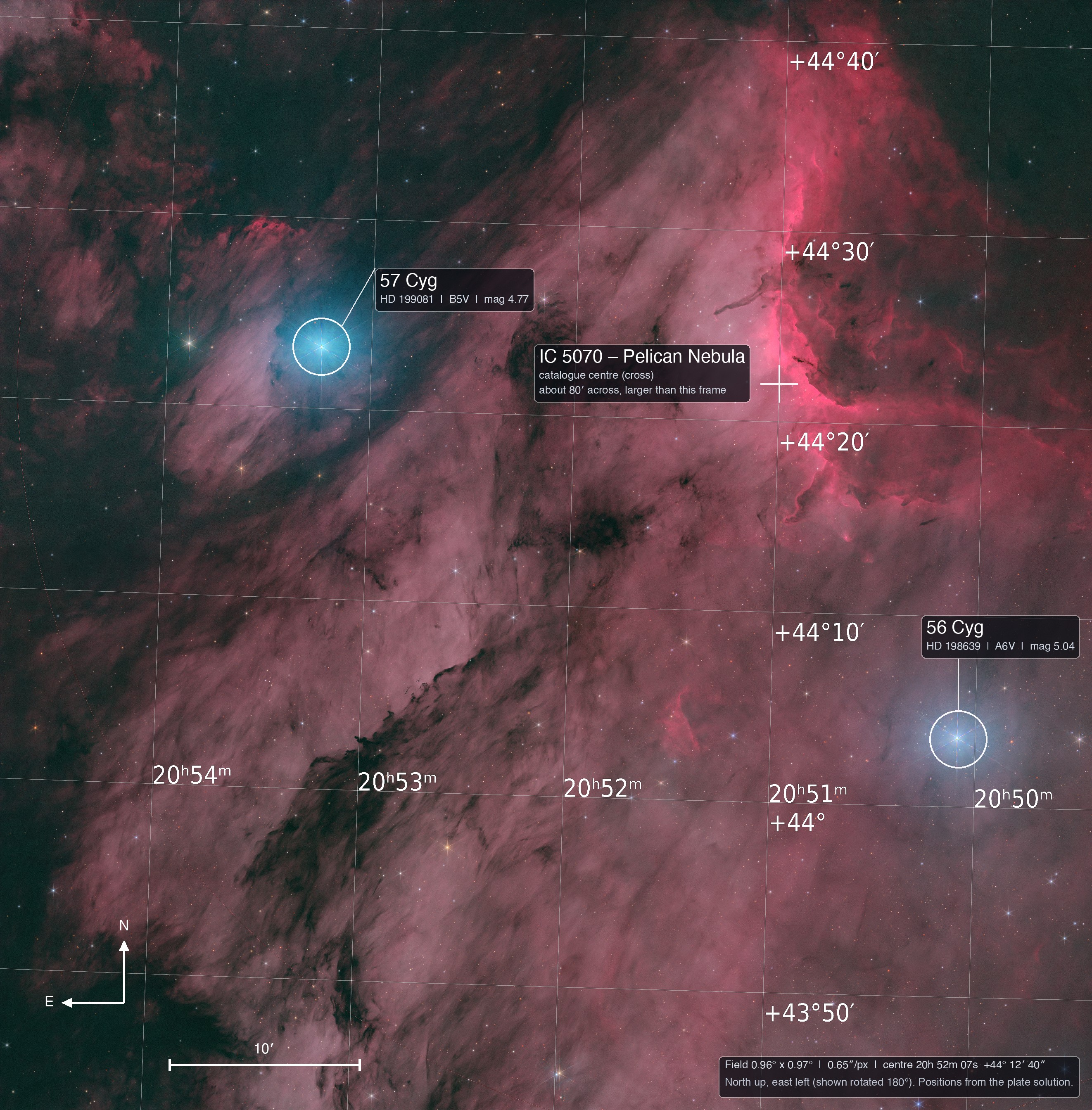 The same image, annotated with a coordinate grid, the bright stars 57 Cyg and 56 Cyg, the Pelican Nebula, a compass and a 10 arcminute scale bar